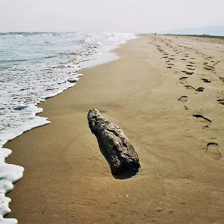 Masia Llambrich Сasa de vacaciones