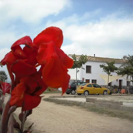 Holiday home Masia Llambrich Deltebre